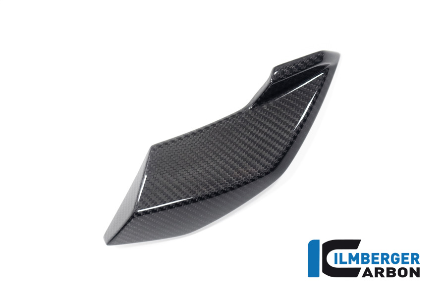 Ilmberger Carbon Seitliche Abdeckung am Scheinwerfer links, glänzend, BMW S1000R 2020-, M1000R 2023-