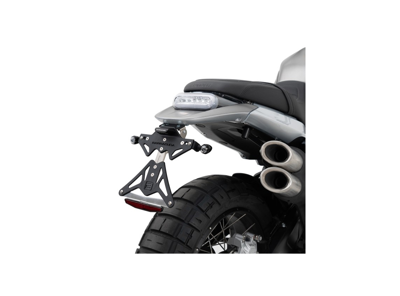 Barracuda Kennzeichenhalter für Benelli Lenocino Modelljahr 2022-