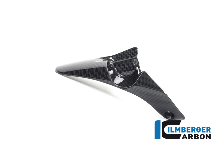 Ilmberger Carbon Kotflügel hinten, glänzend Ducati Monster 1200, 1200S 2014-2016