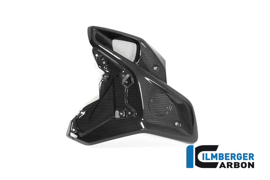 Windkanal links für orig. Edelstahl Abdeckung Carbon für BMW R1250GS ab 2019
