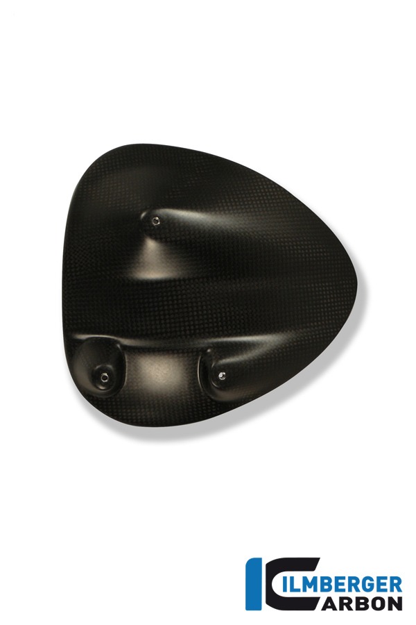 Ilmberger Carbon Spritzschutz hinten, Carbon