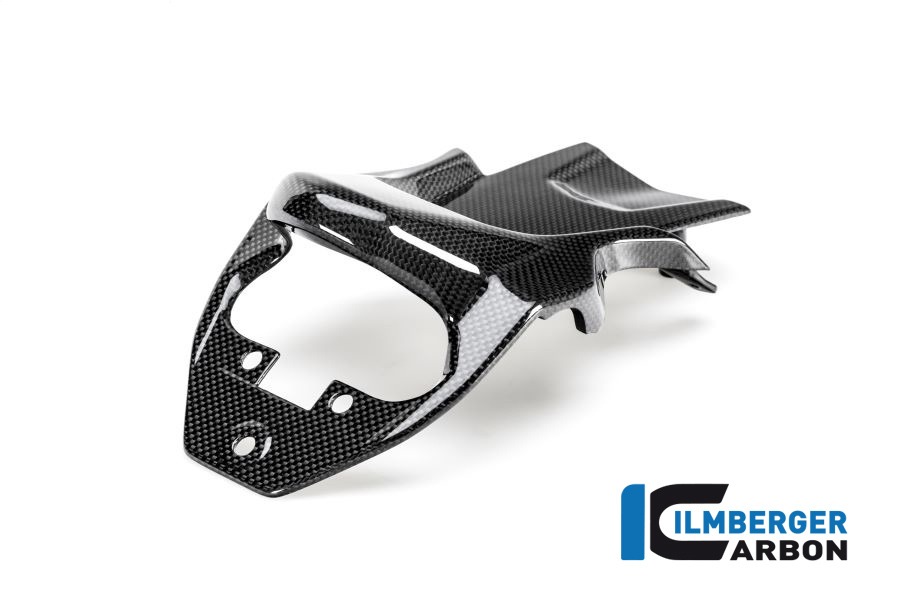 Ilmberger Carbon Kennzeichenträger glanz