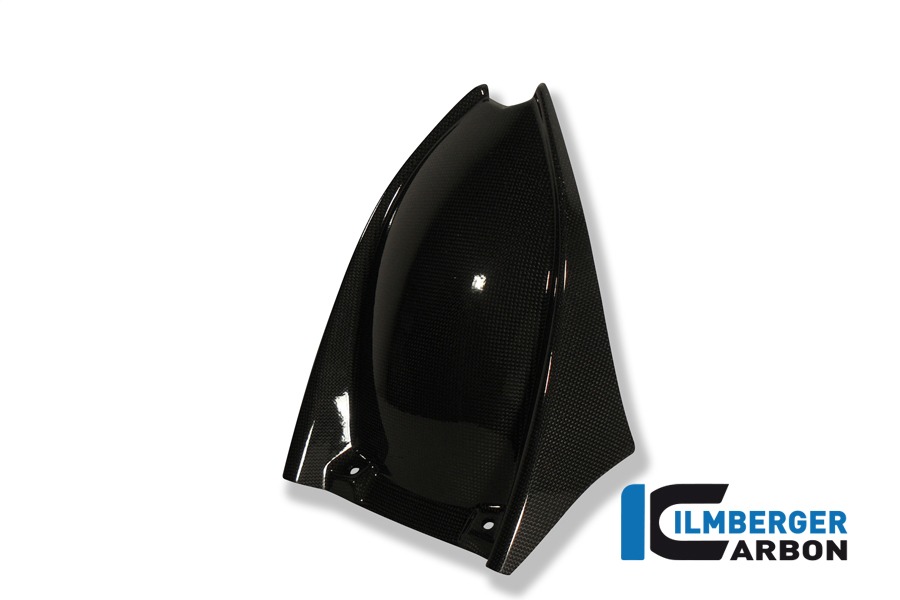 Ilmberger Carbon Kotflügel hinten, Carbon