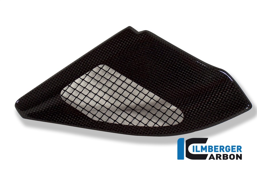 Ilmberger Carbon Ansaugrohrabdeckung, Carbon