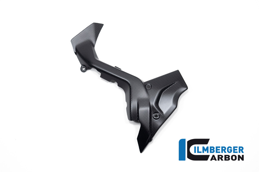 Ilmberger Carbon Ritzelabdeckung, matt, Ducati Diavel V4 , 2023-
