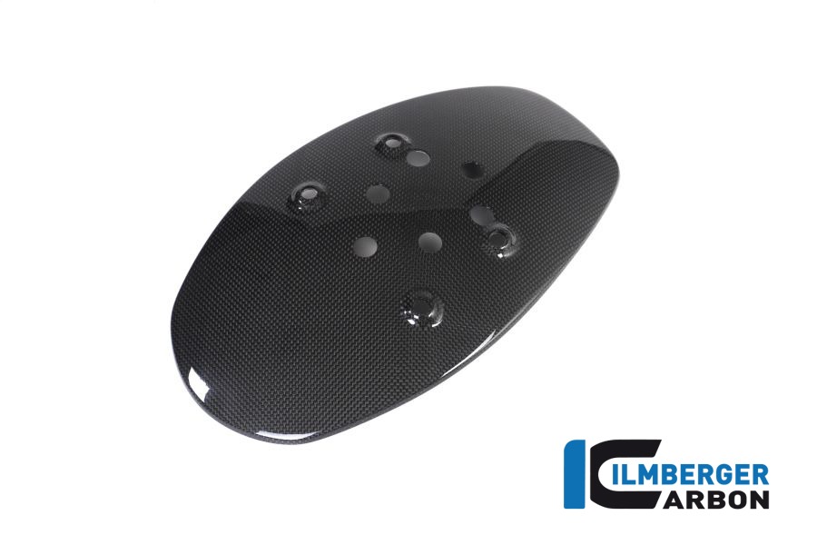 Ilmberger Carbon Spritzschutz hinten glanz