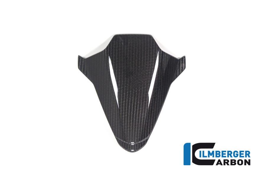 Ilmberger Carbon Armaturenabdeckung, Carbon, BMW M1000RR