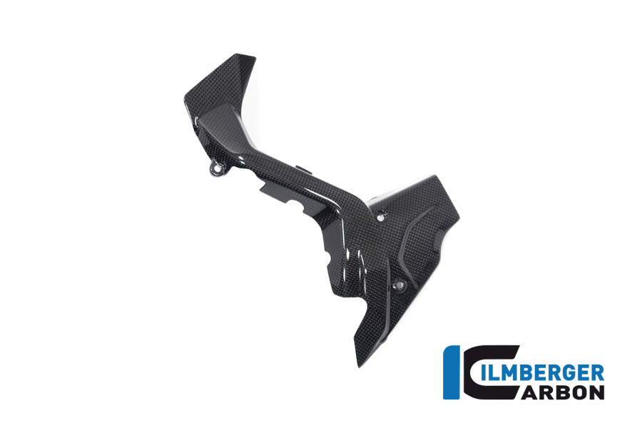 Ilmberger Carbon Ritzelabdeckung, glänzend, Ducati Diavel V4 , 2023-