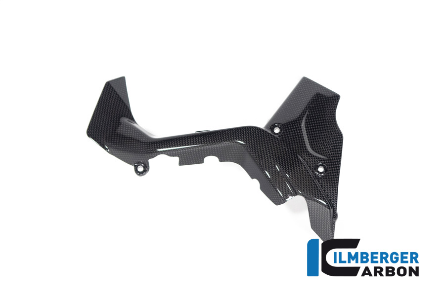 Ilmberger Carbon Ritzelabdeckung, glänzend, Ducati Diavel V4 , 2023-