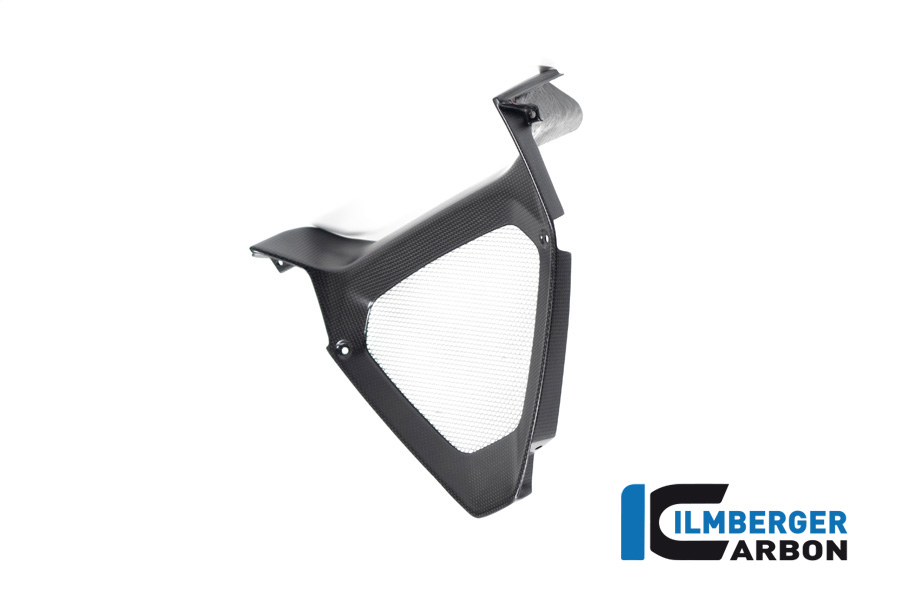 Ilmberger Carbon Motorspoilermittelteil / Ölkühlereinlass, matt, Ducati Diavel 1260 , 2019-