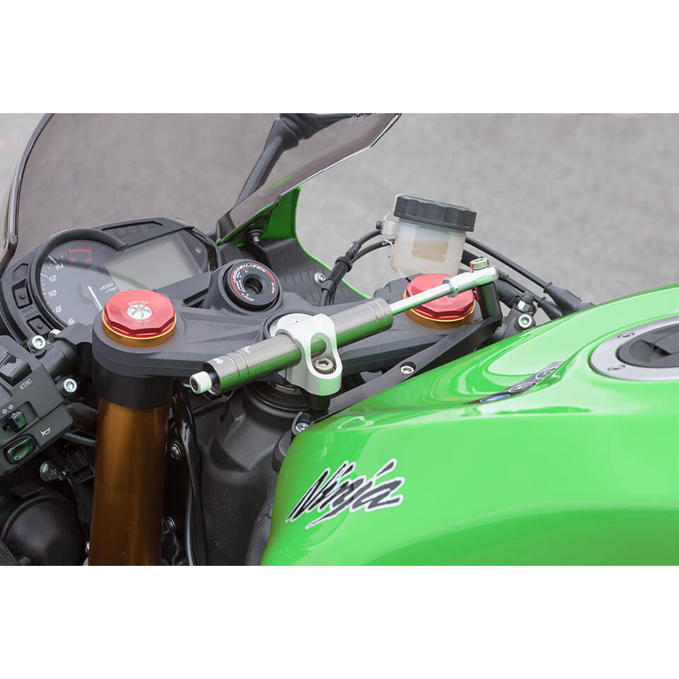 LSL Lenkungsdämpfer Kit mit Teilegutachten für ZX-6R 636 ABS,  2013 -, titan