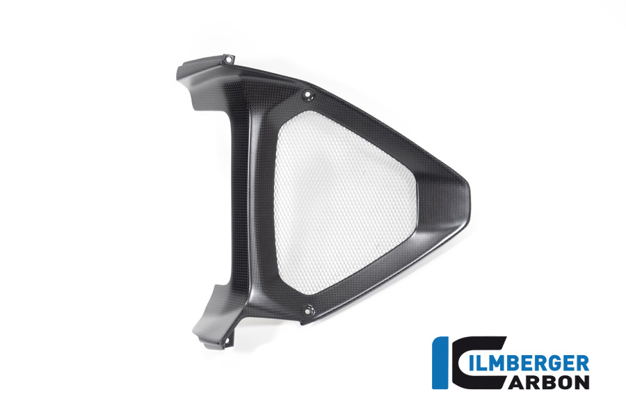 Ilmberger Carbon Motorspoilermittelteil / Ölkühlereinlass, matt, Ducati Diavel 1260 , 2019-