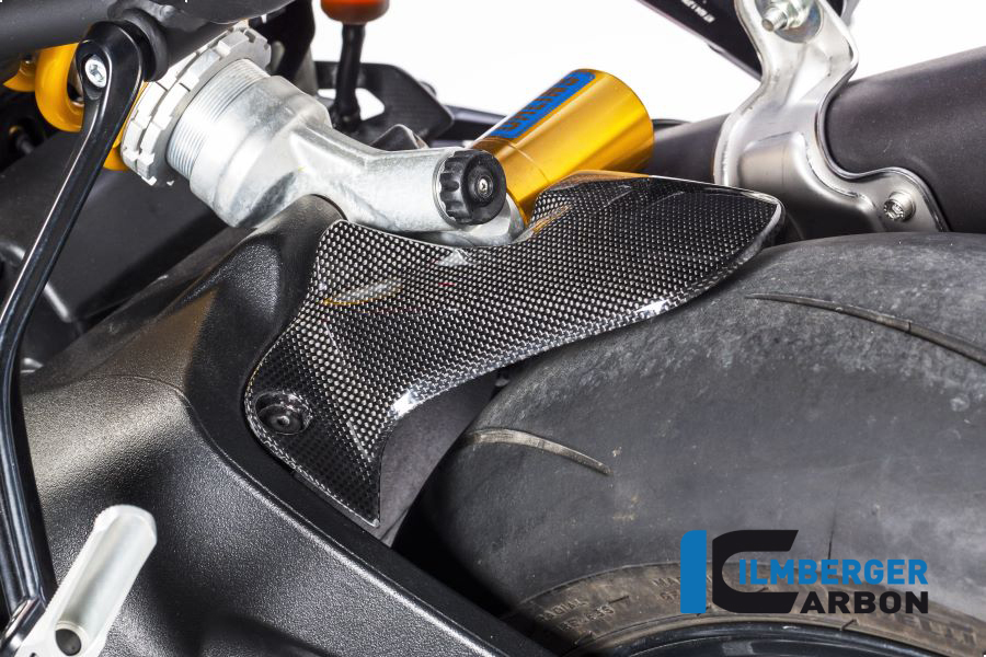 Ilmberger Carbon Kotflügel hinten, glänzend Ducati Monster 1200, 1200S 2014-2016