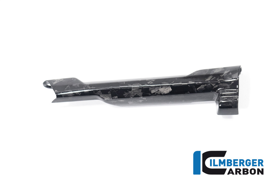 Ilmberger Carbon Bremsleitungsabdeckung, Black Diamond Carbon, glänzend, BMW R1300GS 2023-