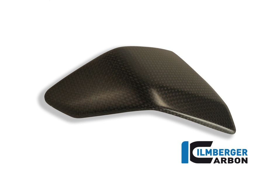 Ilmberger Carbon Seitenverkleidungseinsatz links, Carbon