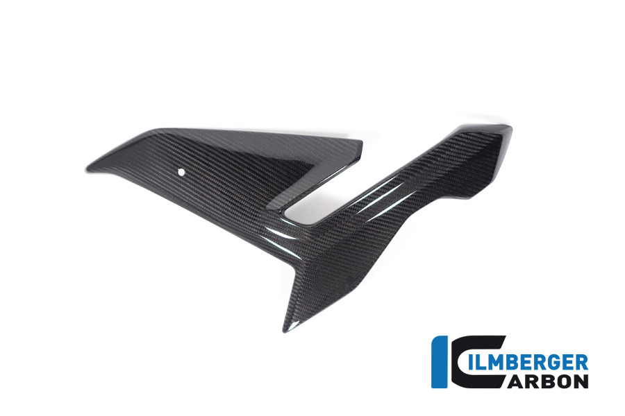 Ilmberger Carbon Verkleidungsseitenteil links, glänzend, BMW M1000R 2023-
