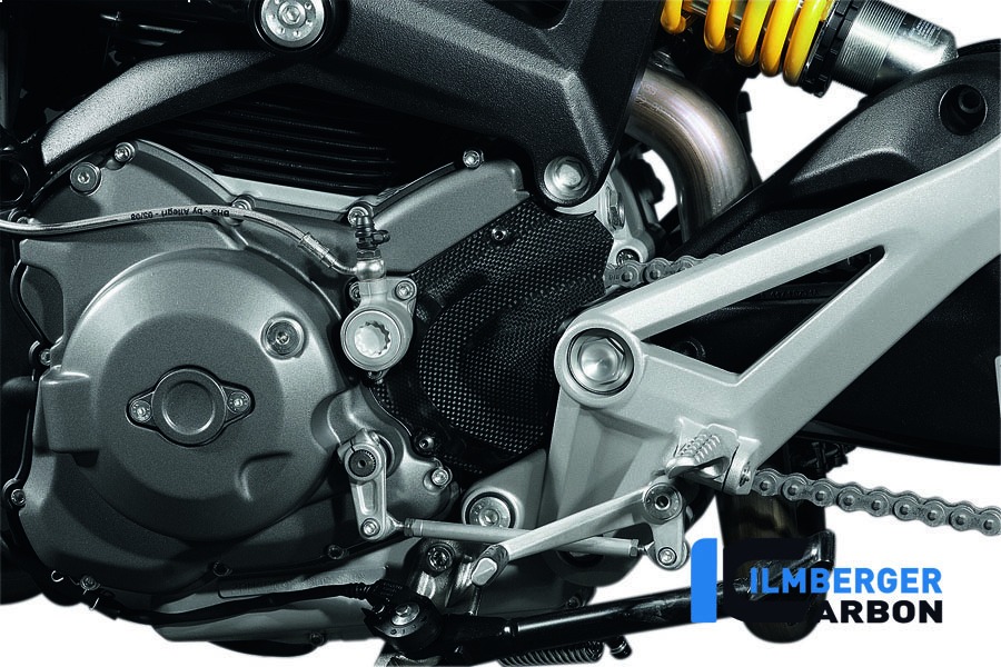 Ilmberger Carbon Ritzelabdeckung, Carbon