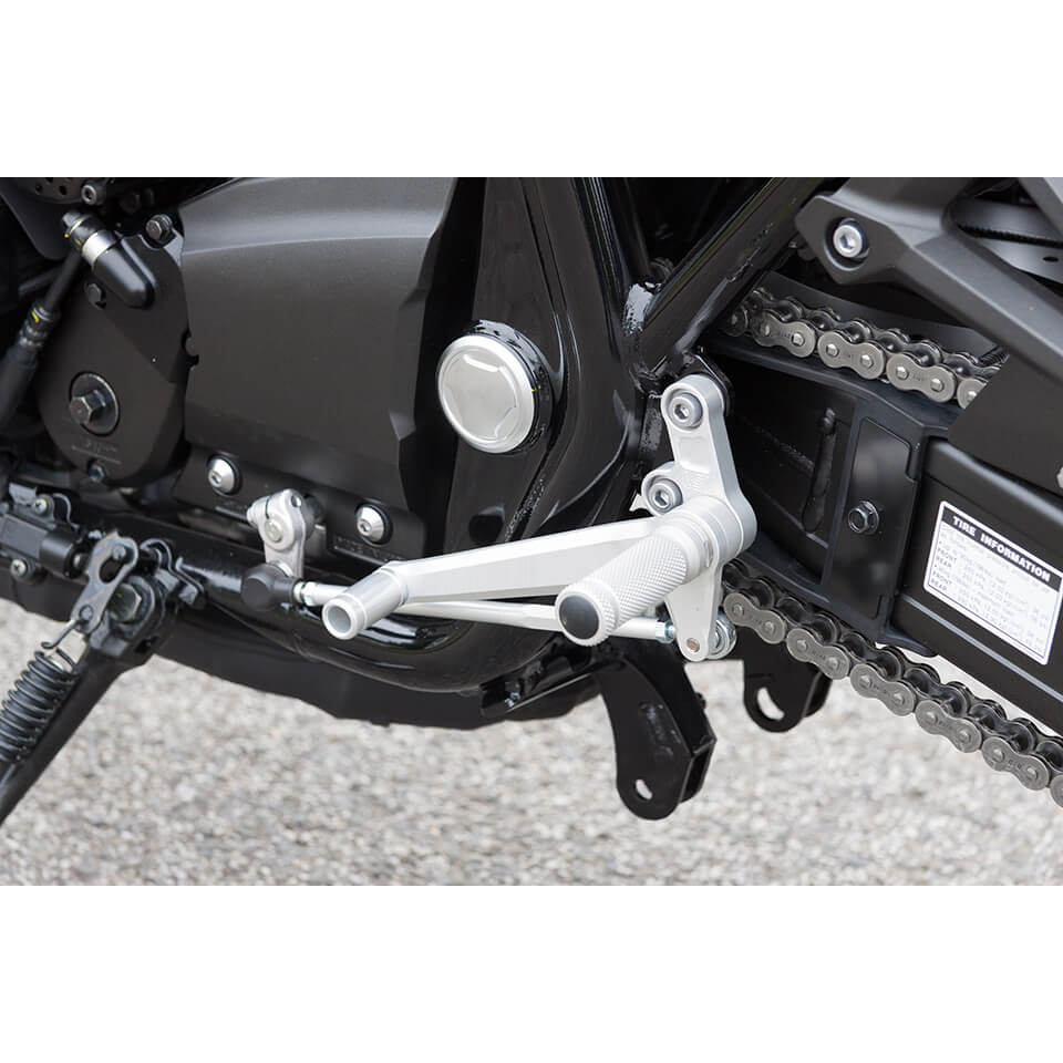 LSL Rastenanlage für Yamaha XJR 1300, XJR1200, silber