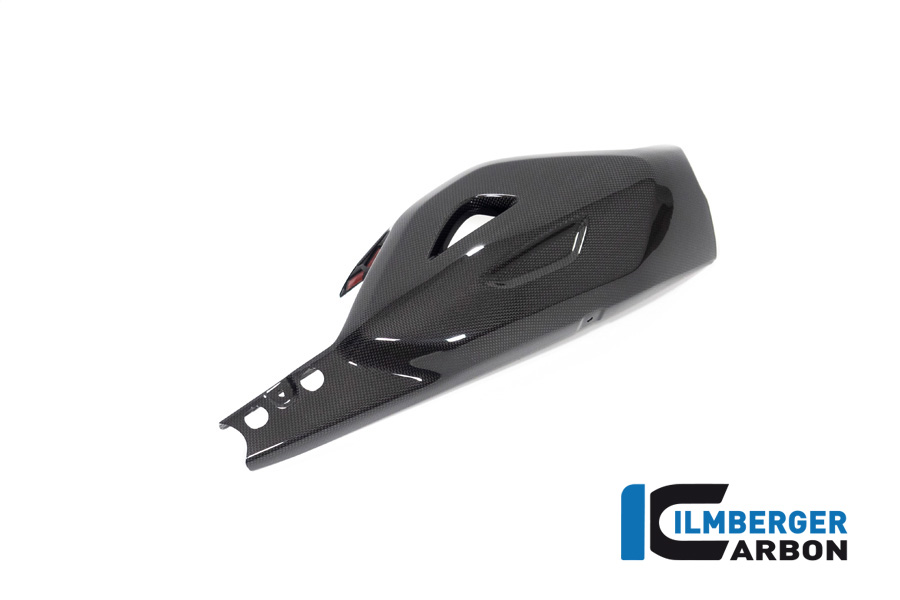 Ilmberger Carbon Schwingenschutz, glänzend, Ducati Diavel V4 , 2023-