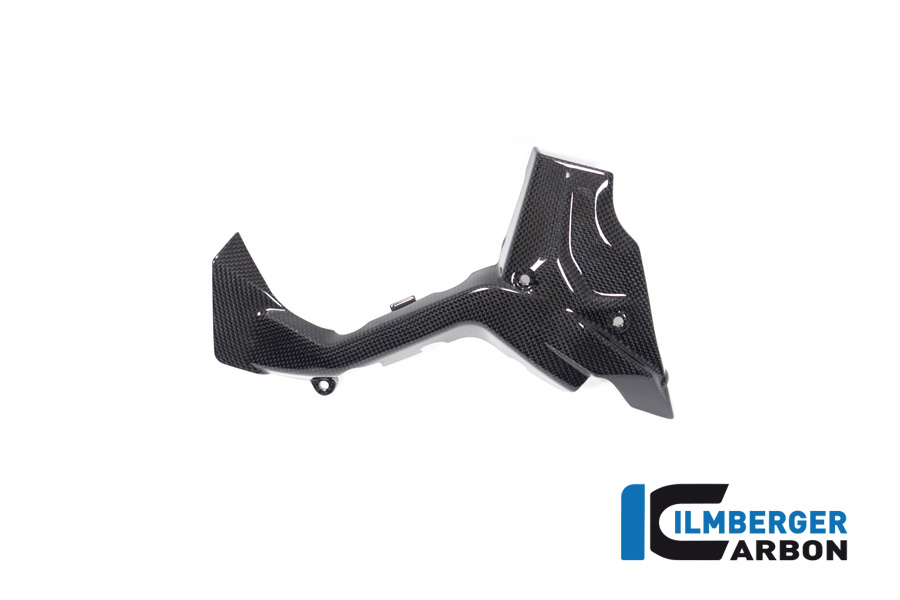 Ilmberger Carbon Ritzelabdeckung, glänzend, Ducati Diavel V4 , 2023-