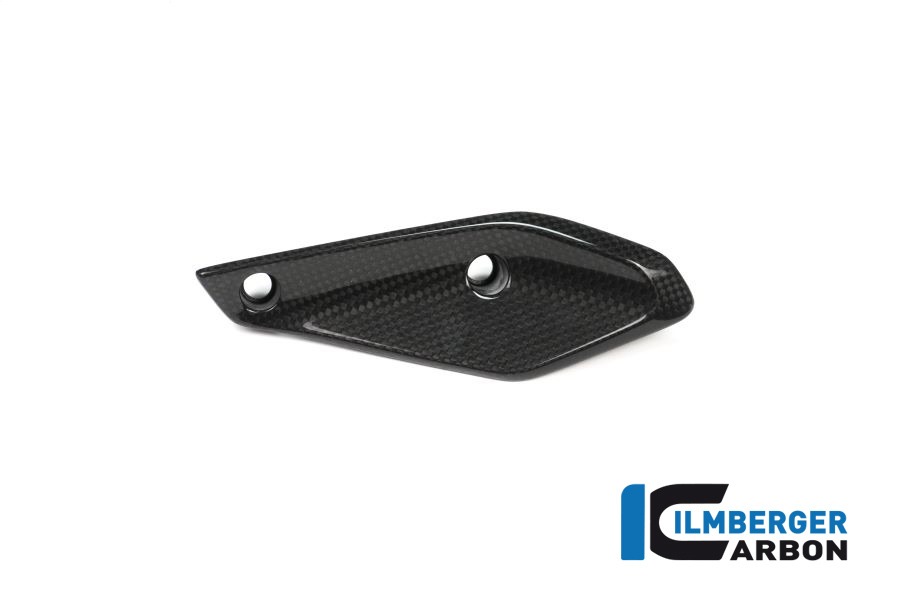 Ilmberger Carbon Verkleidungswinglet links