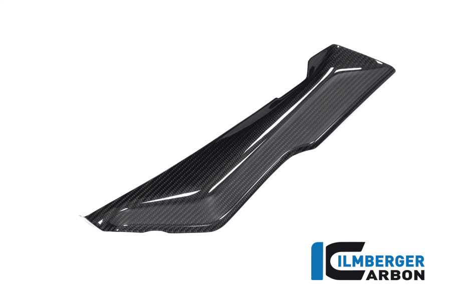 Ilmberger Carbon Abdeckung unterm Verkleidungsoberteil links, glänzend, BMW R1250RS 2019-