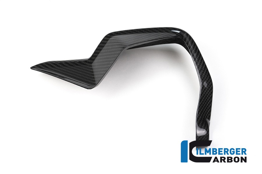 Ilmberger Carbon Handprotektoren rechts BMW S1000XR 2015- M1000XR 2024-