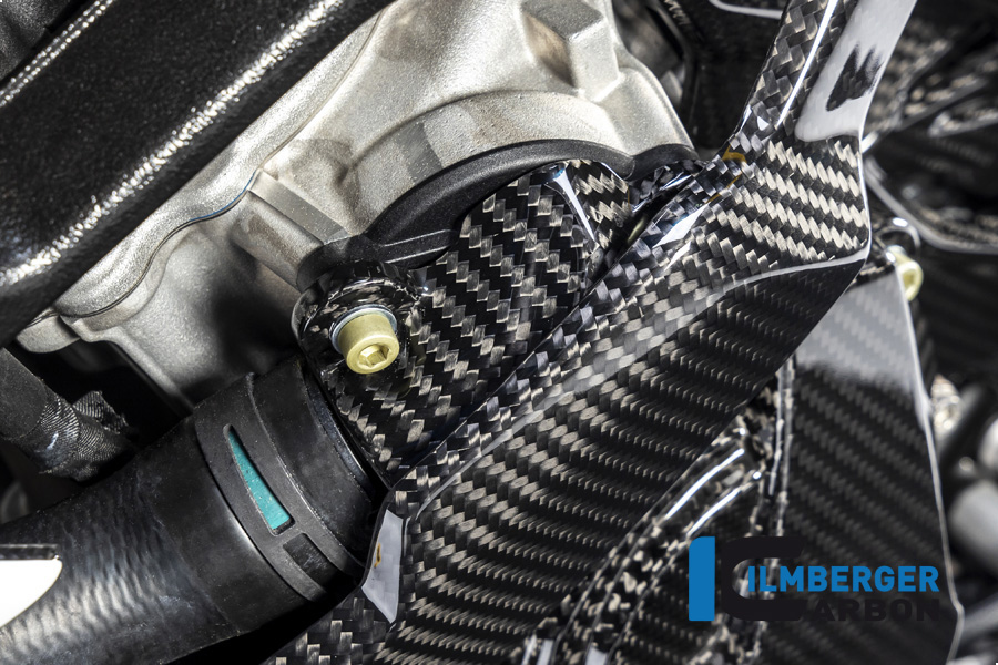 Ilmberger Carbon Wasserpumpendeckelabdeckung, BMW S1000RR 2019- , M1000RR 2020-, M1000R 2023-
