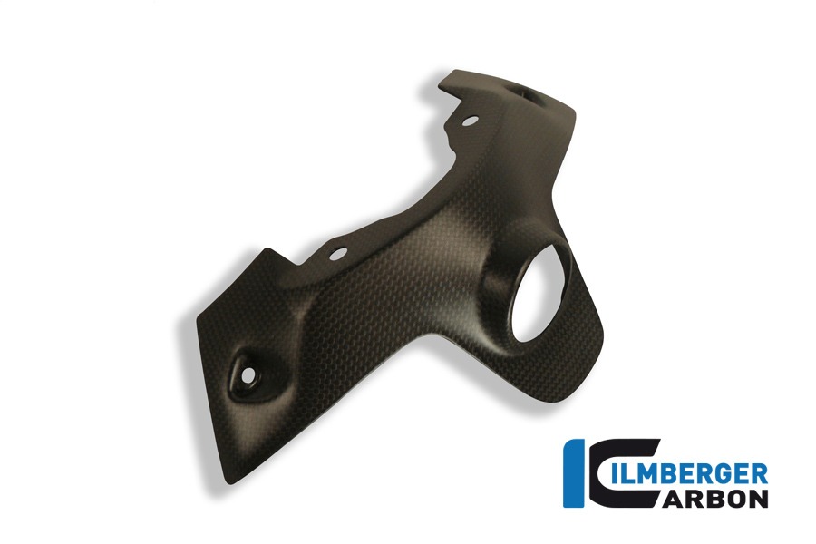 Ilmberger Carbon Zündschlossabdeckung, Carbon
