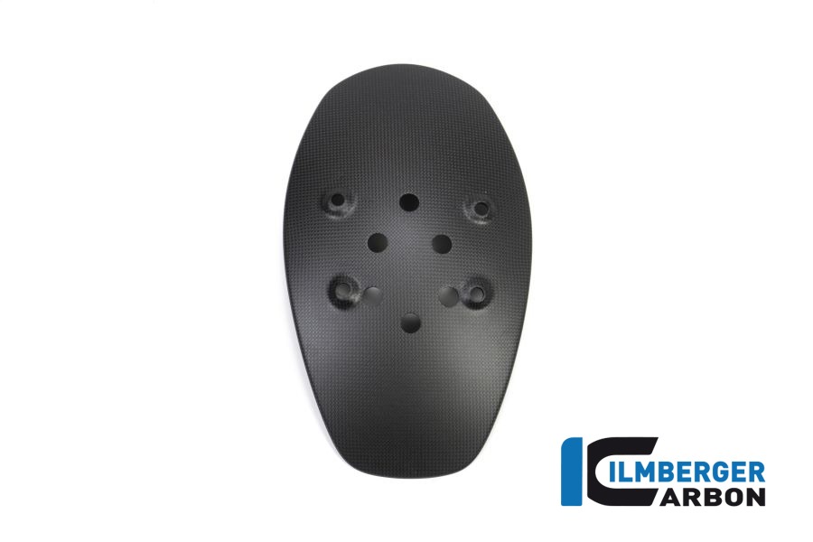 Ilmberger Carbon Spritzschutz hinten matt