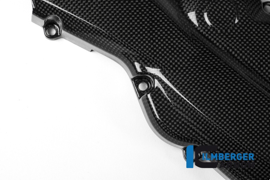 Ilmberger Carbon Zahnriemenabdeckung horizontal glanz, Carbon