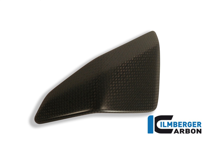 Ilmberger Carbon Seitenverkleidungseinsatz rechts, Carbon
