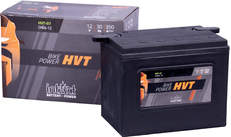 Intact HVT Batterie  CHD4-12 / 66007-8
