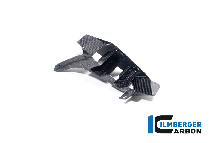 Ilmberger Carbon Winglet in der Heckverkleidung links BMW M1000XR, S1000XR, ab 2024-