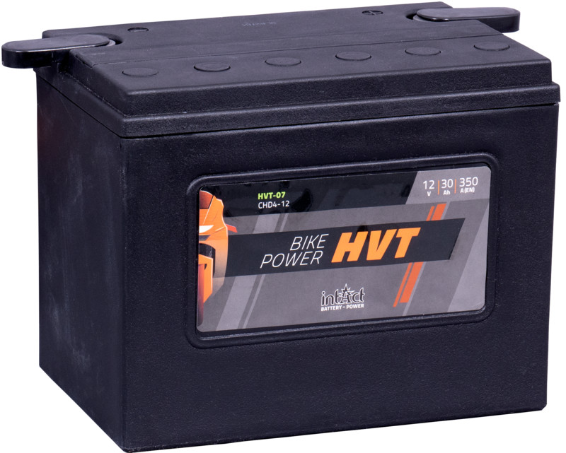 Intact HVT Batterie  CHD4-12 / 66007-8