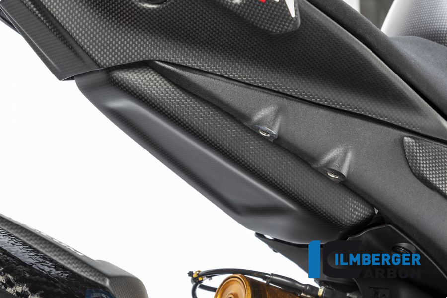Ilmberger Carbon Tankschutz unten am Rahmenheck matt Panigale V4 Racing 2019-