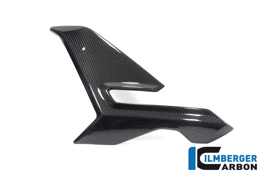Ilmberger Carbon Verkleidungsseitenteil links, glänzend, BMW M1000R 2023-