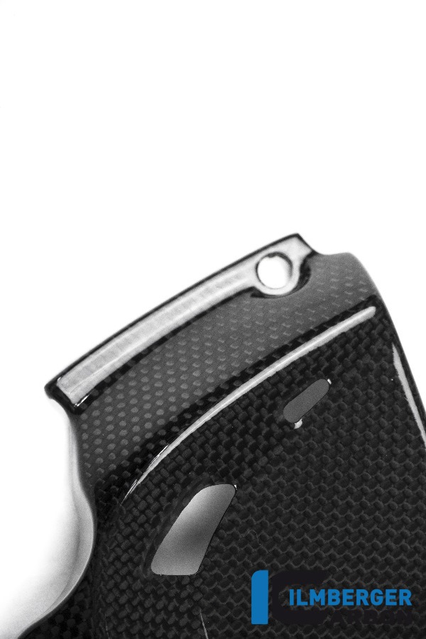 Ilmberger Carbon Ritzelabdeckung glanz