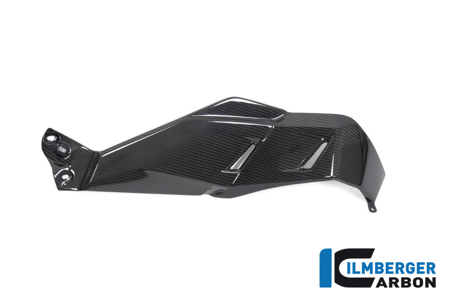 Tankabdeckung unten rechts Carbon für BMW R 1250 GS ab 2019 