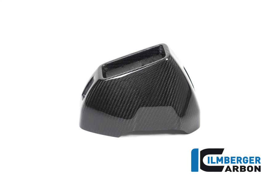Auspuffhitzeschutz hinten Carbon für BMW R 1250 GS ab 2019 