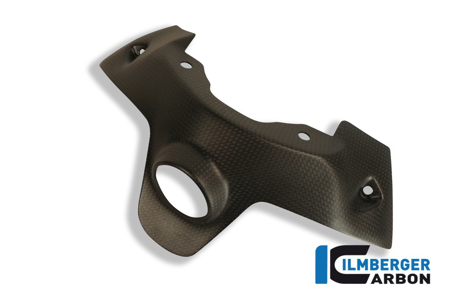 Ilmberger Carbon Zündschlossabdeckung, Carbon
