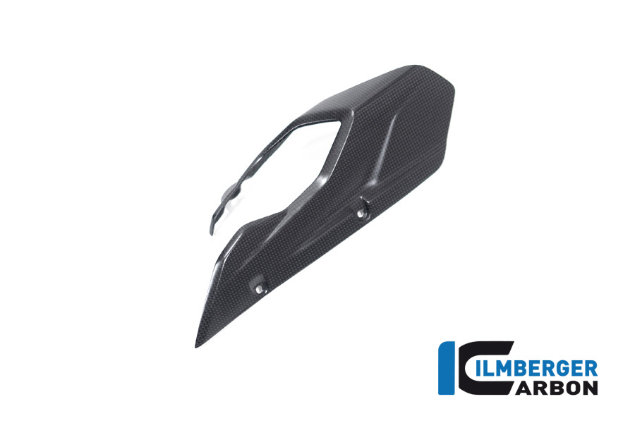 Ilmberger Carbon Kettenschutz/Schwingeneinsatz, matt, Ducati Multistrada V4 2020-