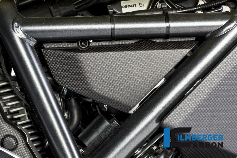 Ilmberger Carbon Abdeckung unterm Rahmen rechts matt