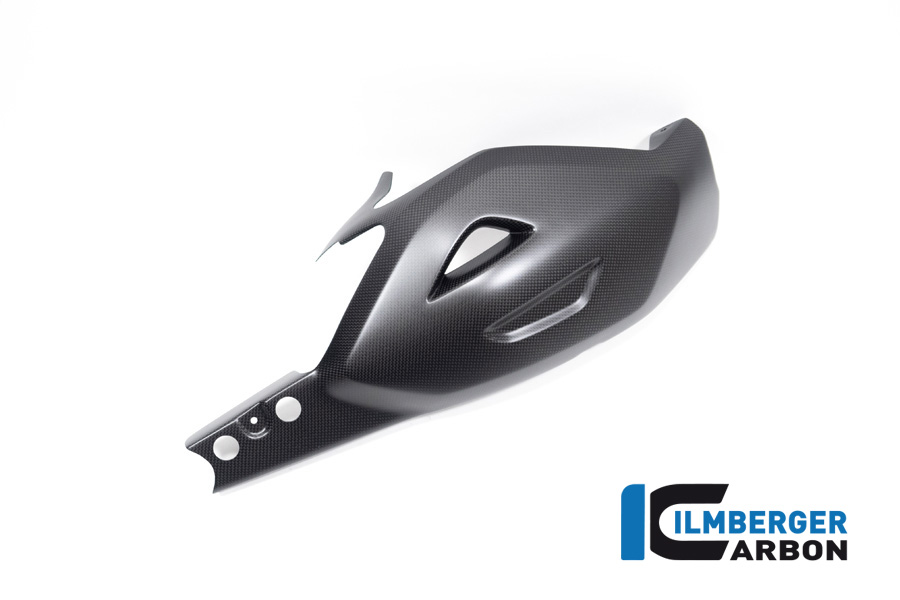Ilmberger Carbon Schwingenschutz, matt, Ducati Diavel V4 , 2023-