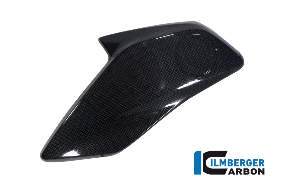 Ilmberger Carbon Wasserkühlerabdeckung links , Carbon