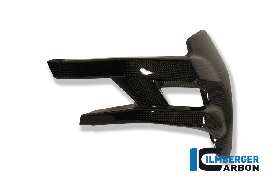 Ilmberger Carbon Spritzschutz hinten, Carbon