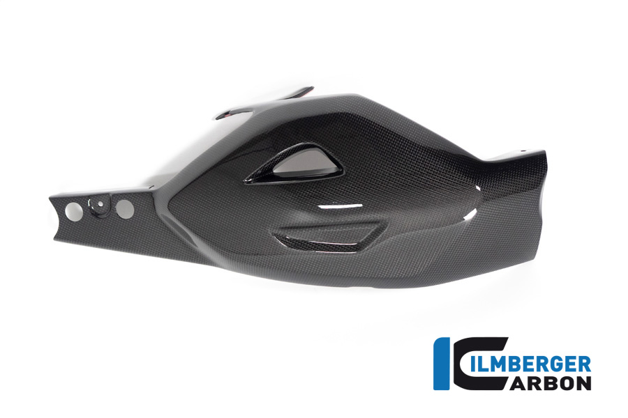 Ilmberger Carbon Schwingenschutz, glänzend, Ducati Diavel V4 , 2023-