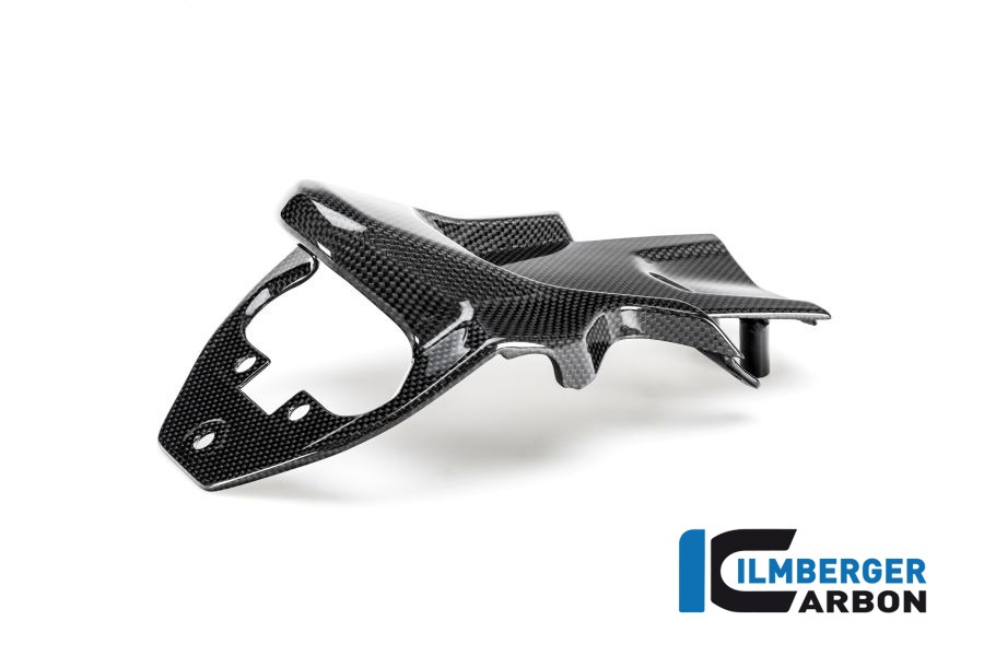 Ilmberger Carbon Kennzeichenträger glanz