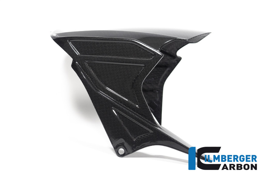 Ilmberger Carbon Kotflügel hinten, glänzend, für Honda CBR1000RR-R/SP 2020-