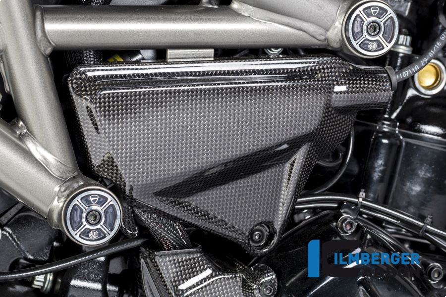 Ilmberger Carbon Abdeckung unterm Rahmen links glanz